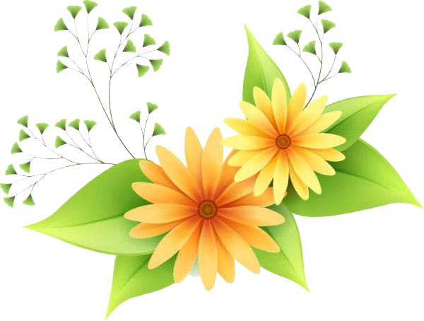 Flowers Vectors Png Clipart PNG Image