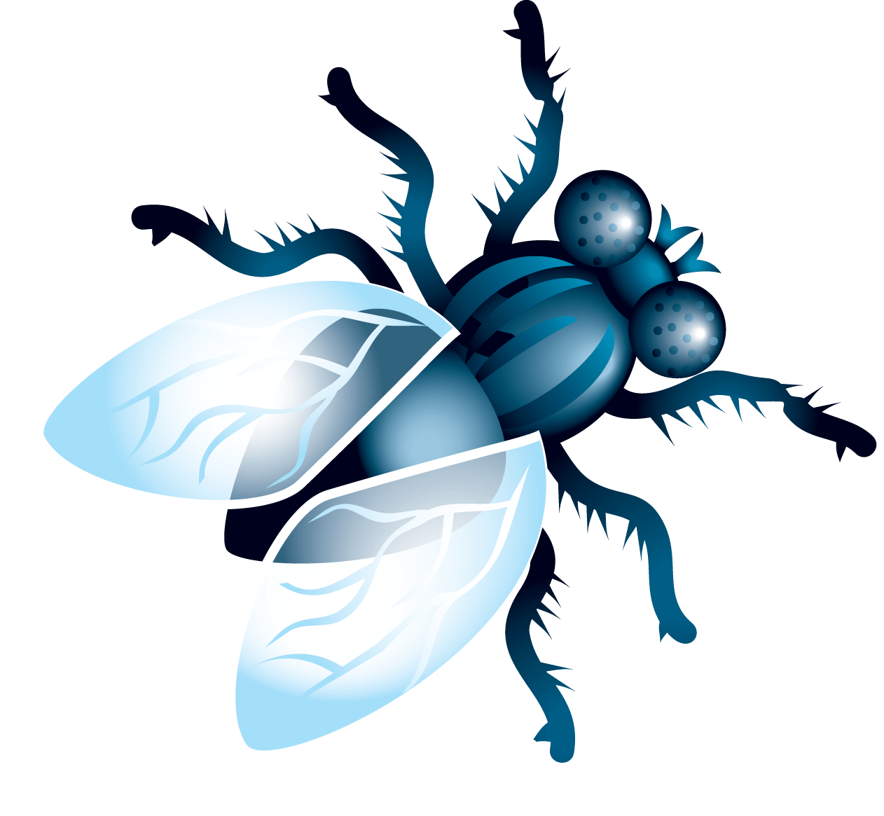 Fly Png Image PNG Image