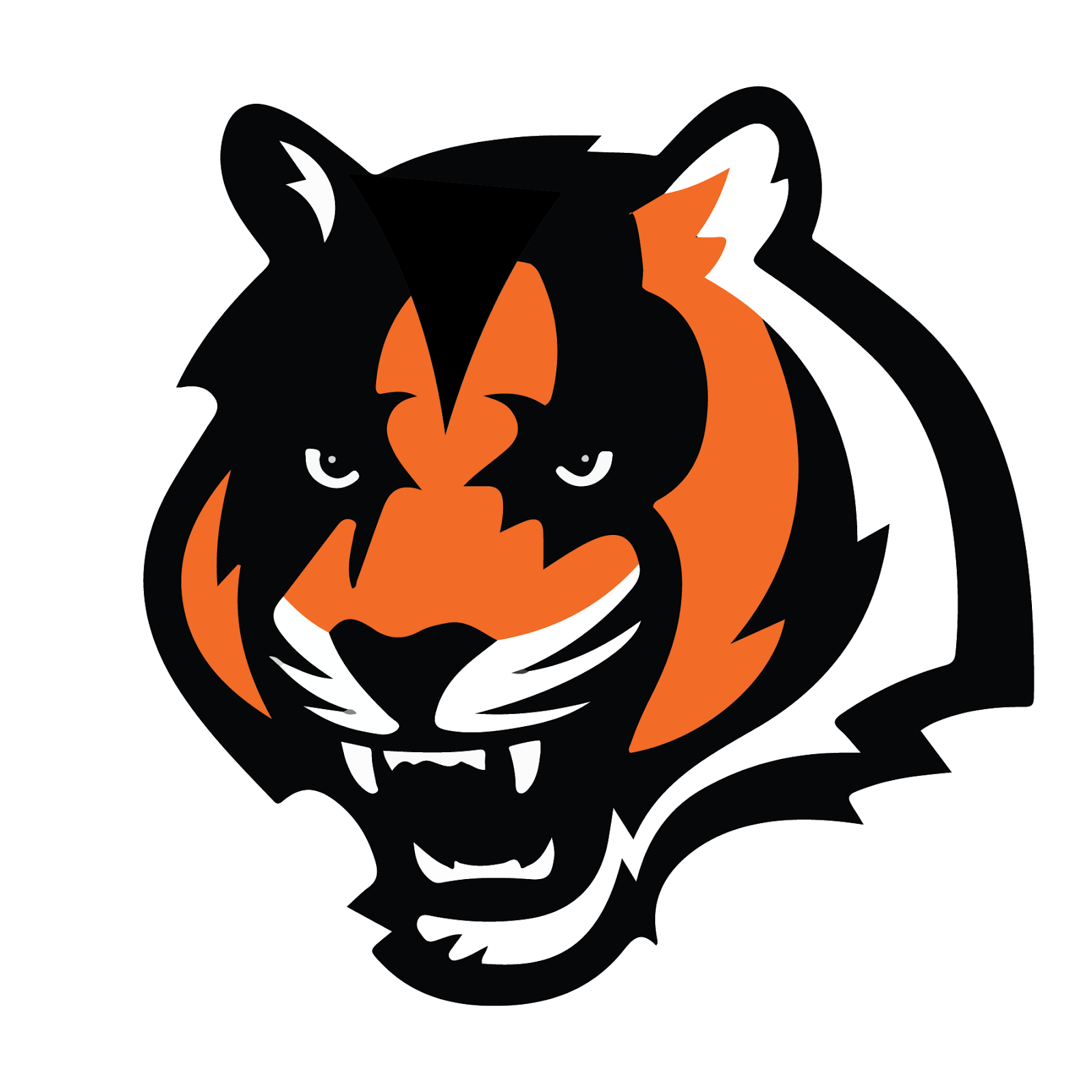 Cincinnati Bengals Photo PNG Image