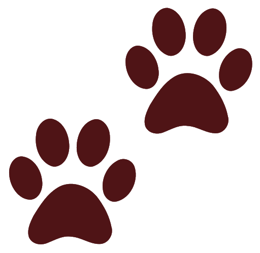 Footprint Vector Animal HD Image Free PNG Image