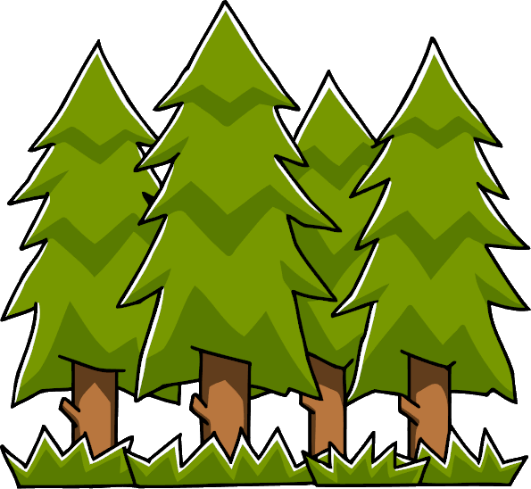 Forest Transparent Image PNG Image