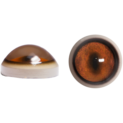 Fox Eyes Transparent Background PNG Image