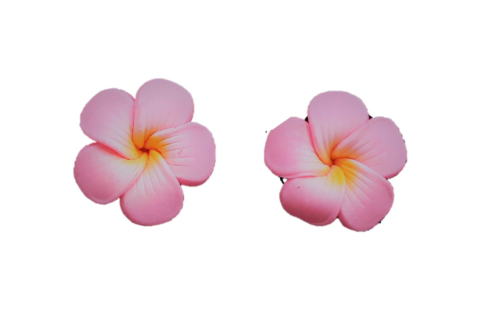 Pink Frangipani HQ Image Free PNG Image