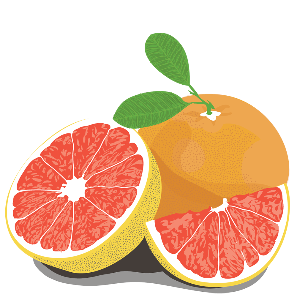 Grapefruit Half Free Photo PNG Image