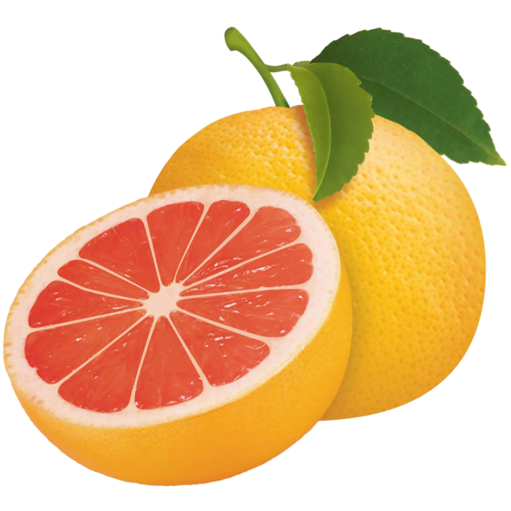 Grapefruit Half Free HD Image PNG Image