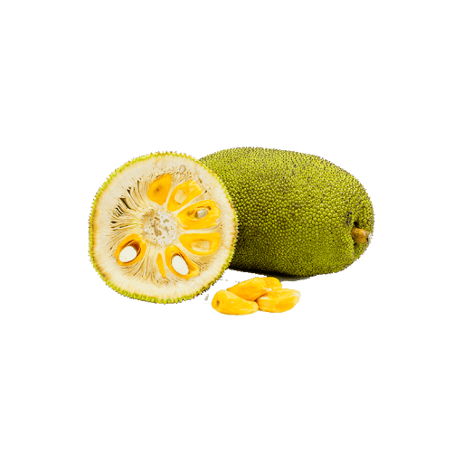 Jackfruit Free Download Image PNG Image