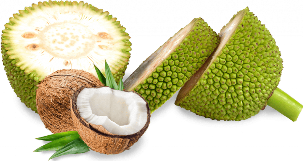 Jackfruit Juicy Free Clipart HQ PNG Image