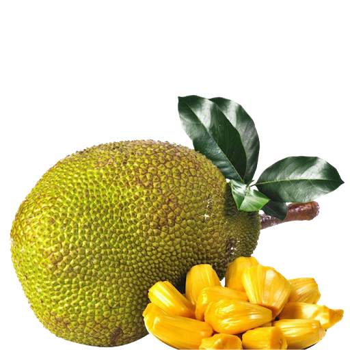 Jackfruit Pic Juicy Free Transparent Image HQ PNG Image