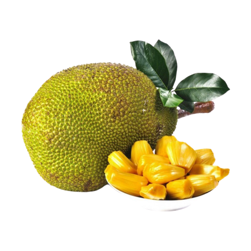 Jackfruit Juicy Free Transparent Image HD PNG Image