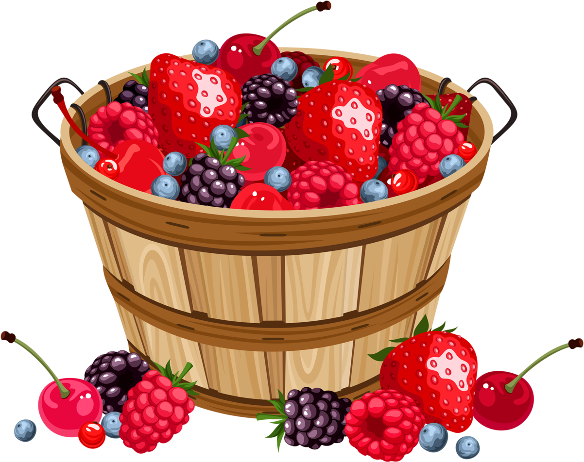 Basket Fruit PNG Image High Quality PNG Image