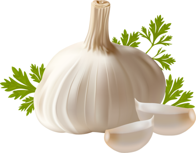 Garlic Png PNG Image