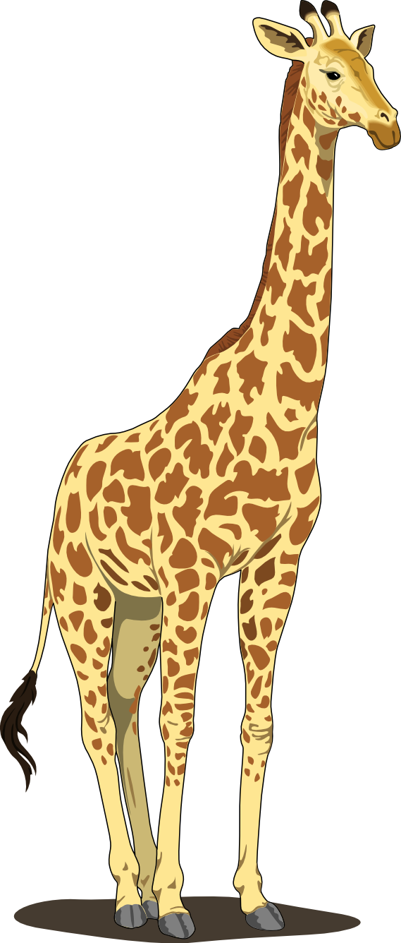 Small Giraffe Vector HD Image Free PNG Image