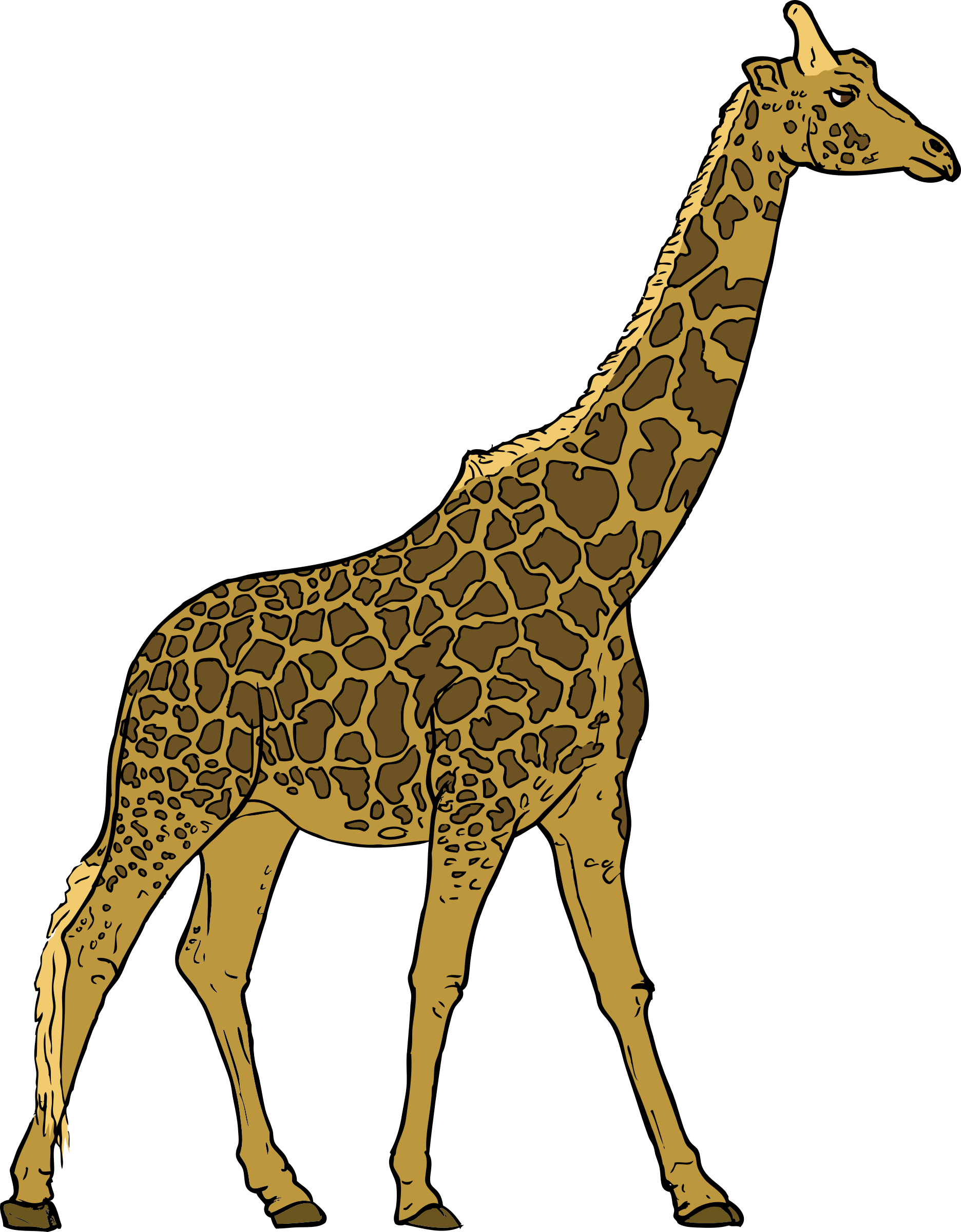 Small Giraffe Vector Free Clipart HD PNG Image