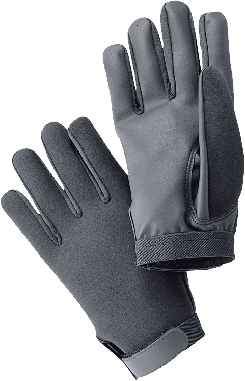 Winter Gloves Png Image PNG Image