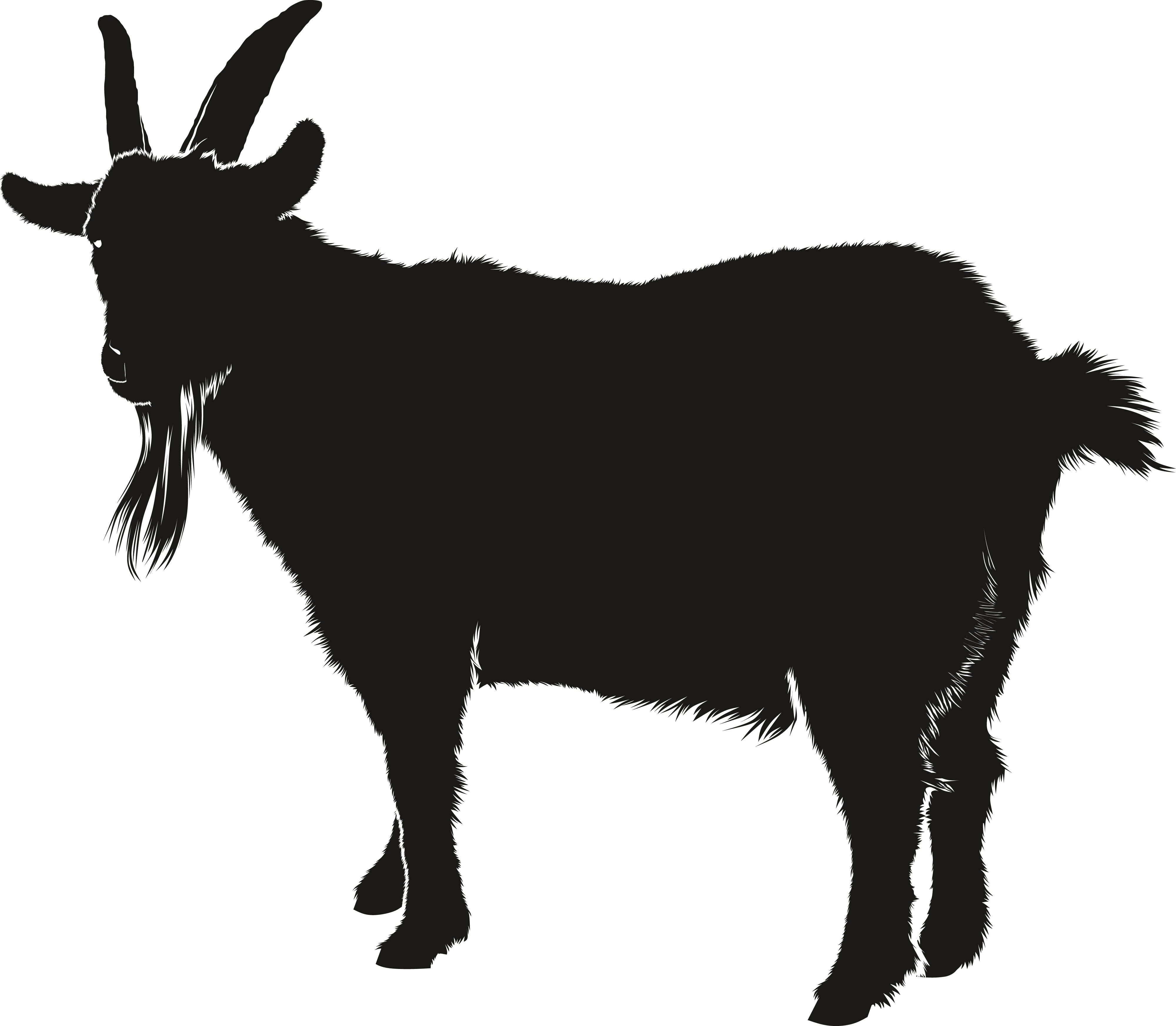 Goat Free Transparent Image HD PNG Image