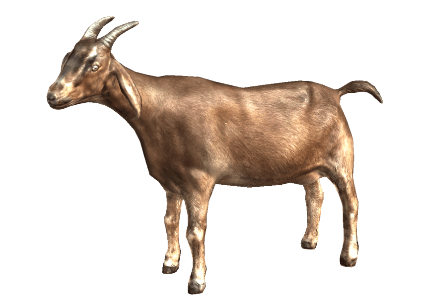 Goat PNG Download Free PNG Image