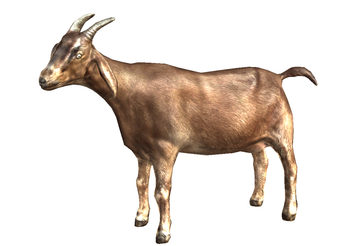 Goat Png Picture PNG Image