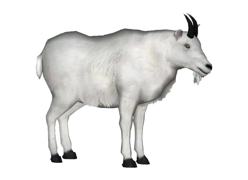 White Goat Download Free Image PNG Image