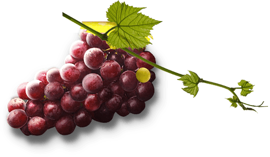 Grape Png Image Download Picture PNG Image