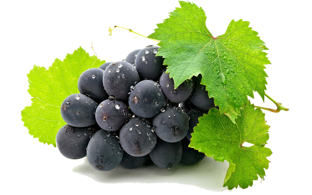 Grape Png Hd PNG Image