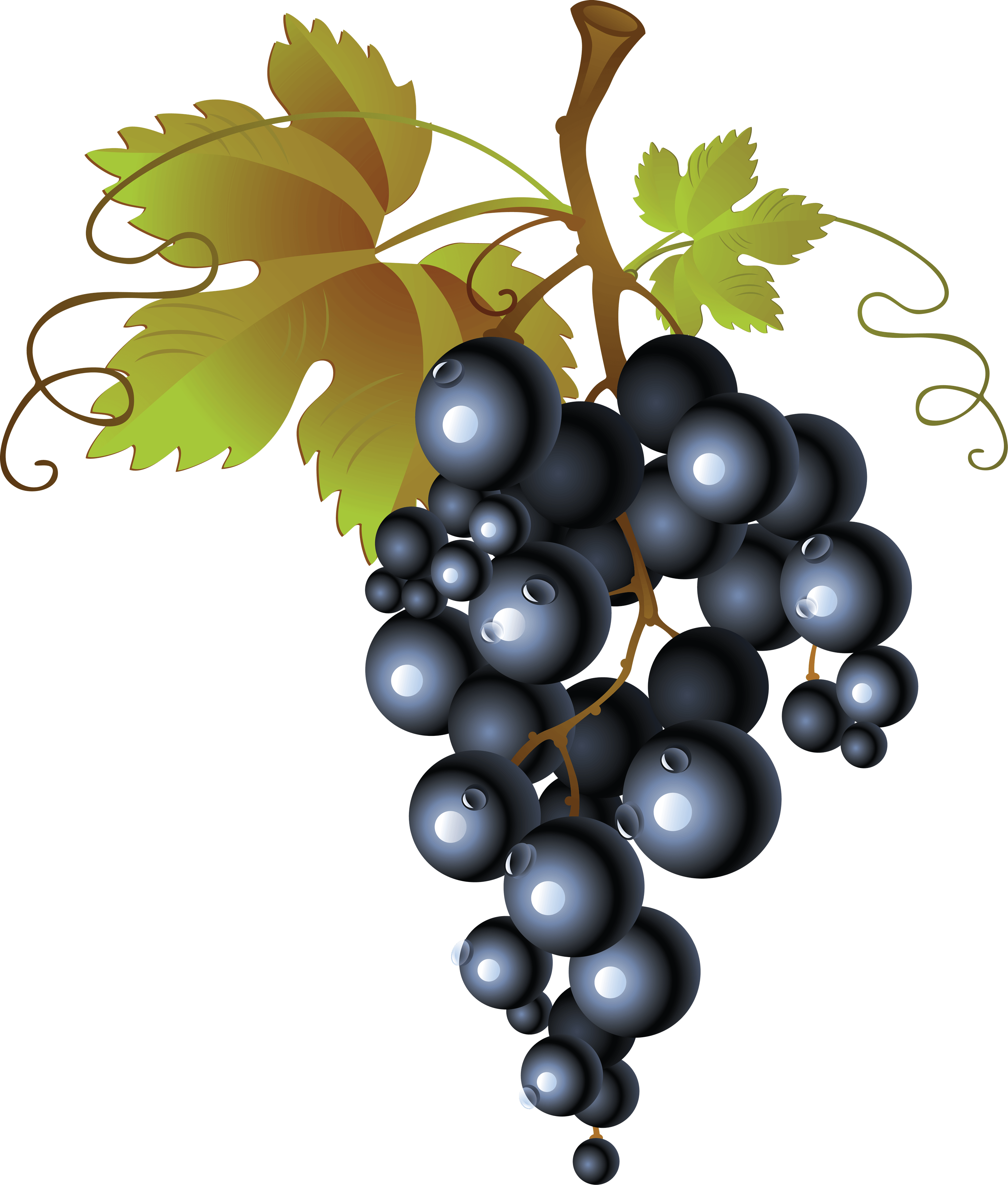 Grape Png Image PNG Image