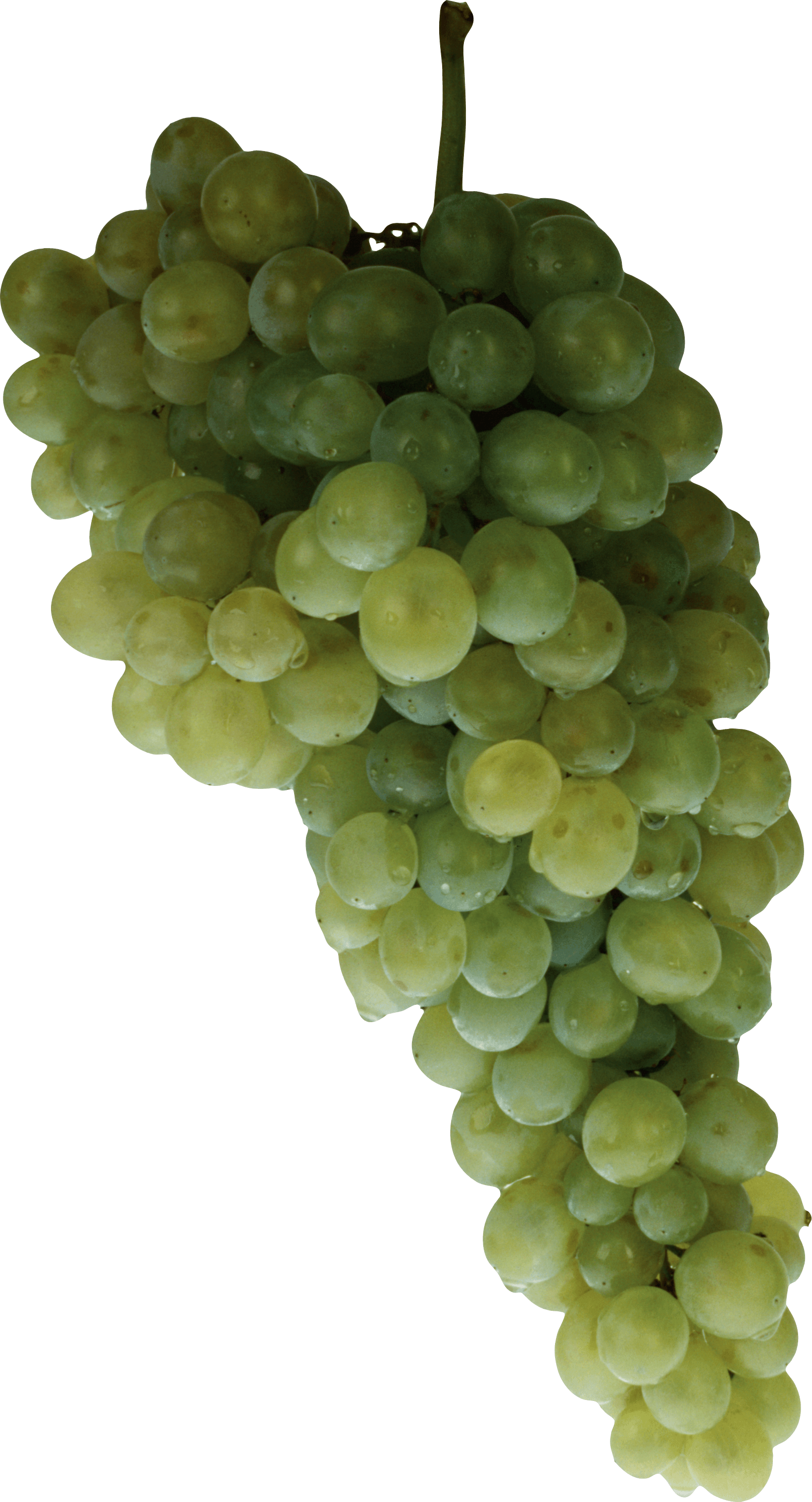 Green Grape Png Image PNG Image