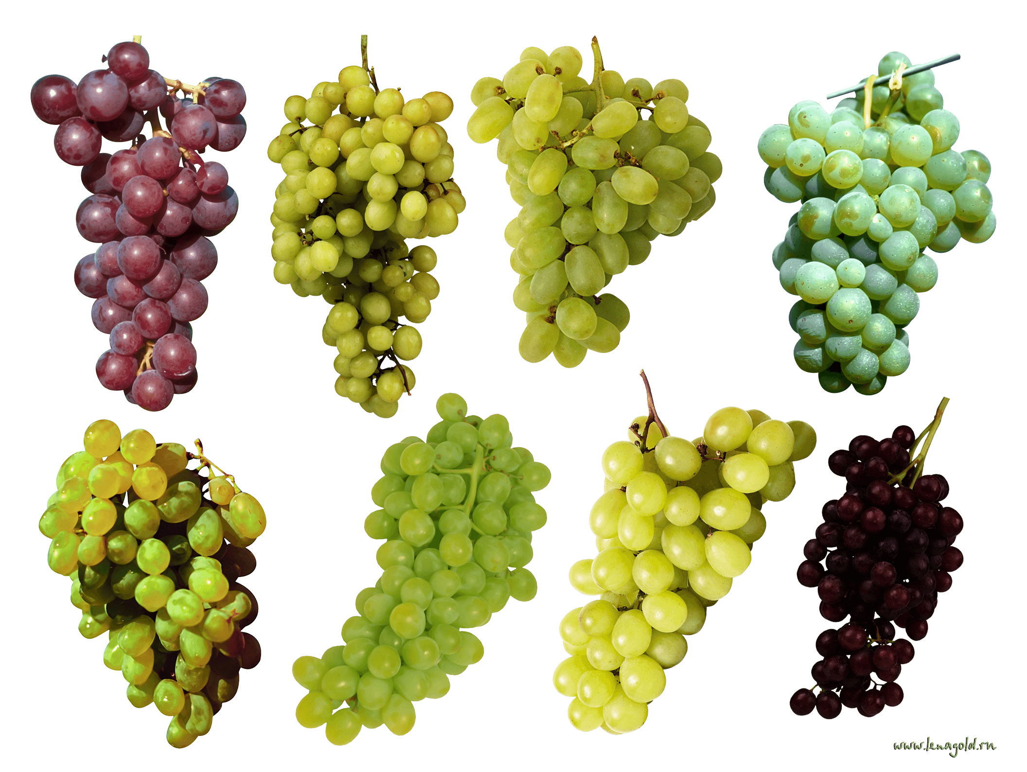 Grape Png Image Download Picture PNG Image