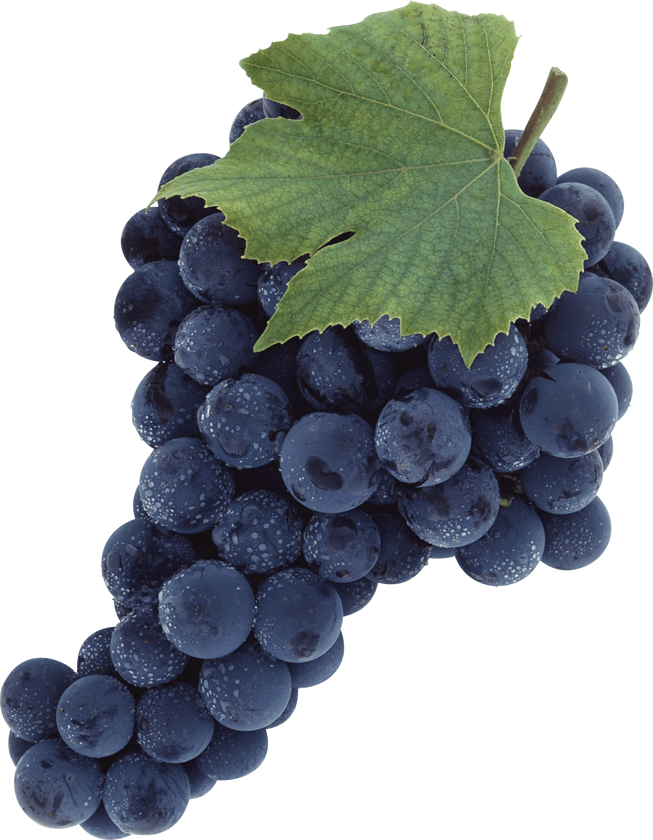 Grape Png Image PNG Image