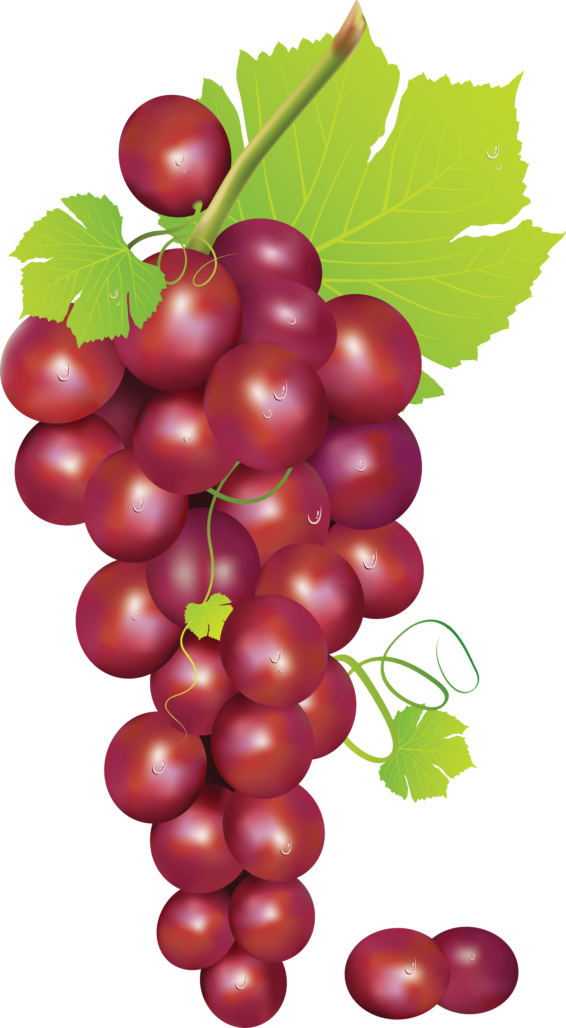 Grape Png Image PNG Image