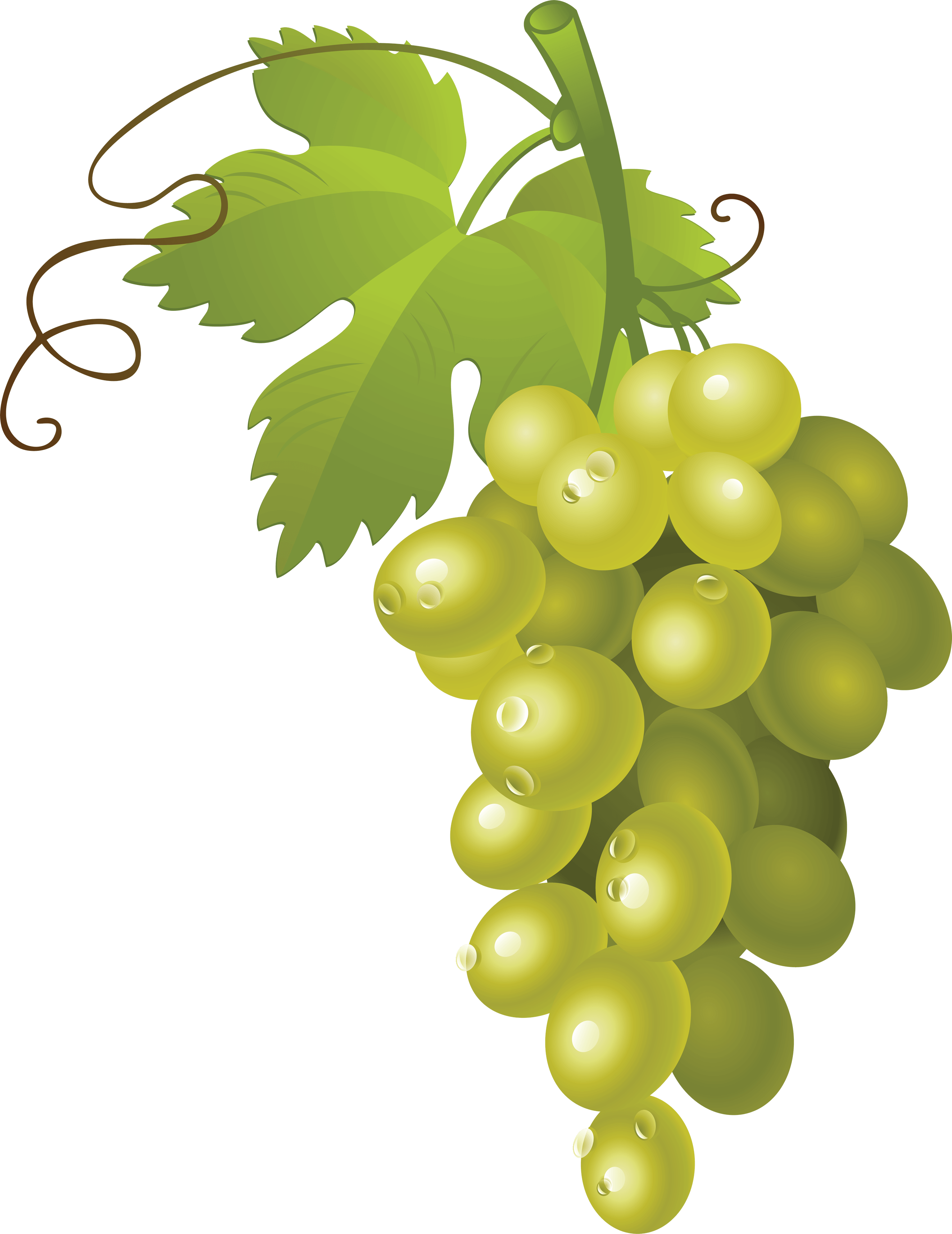 Grape Png Image PNG Image