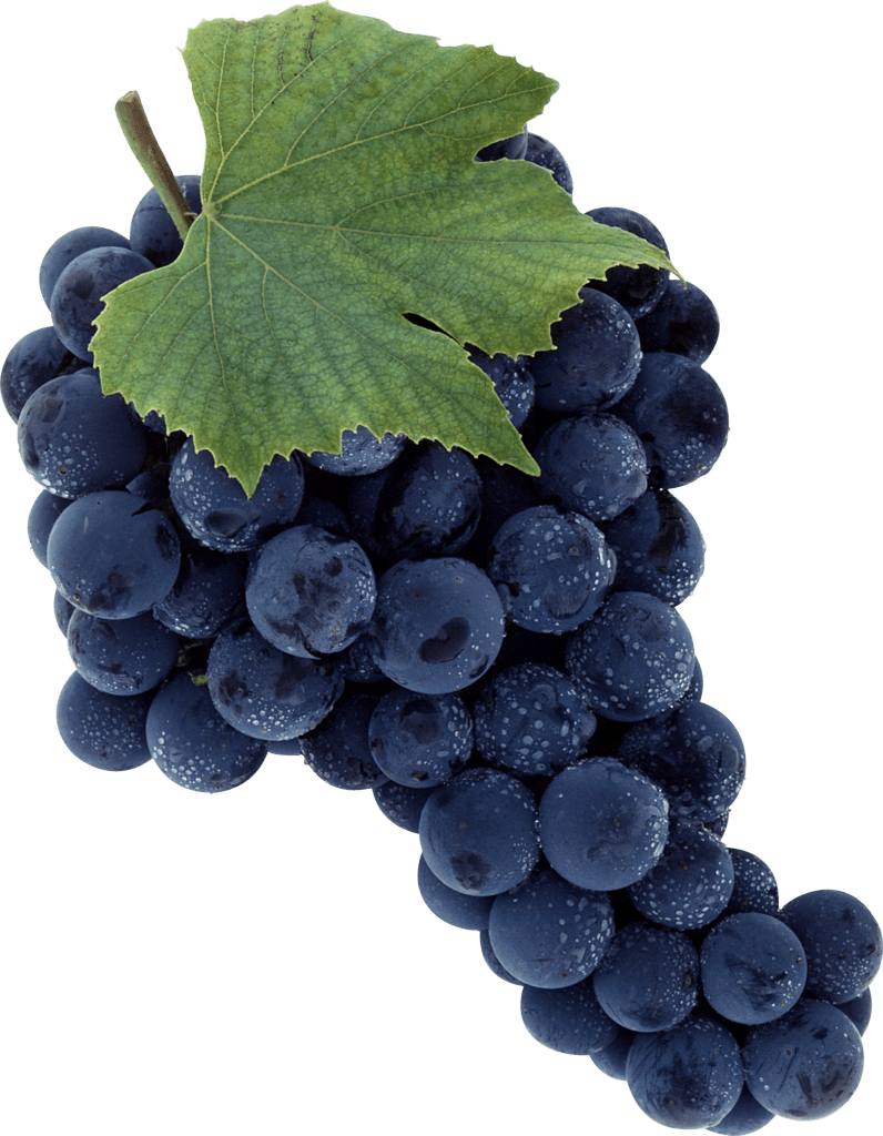 Grape Png Image Download Picture PNG Image