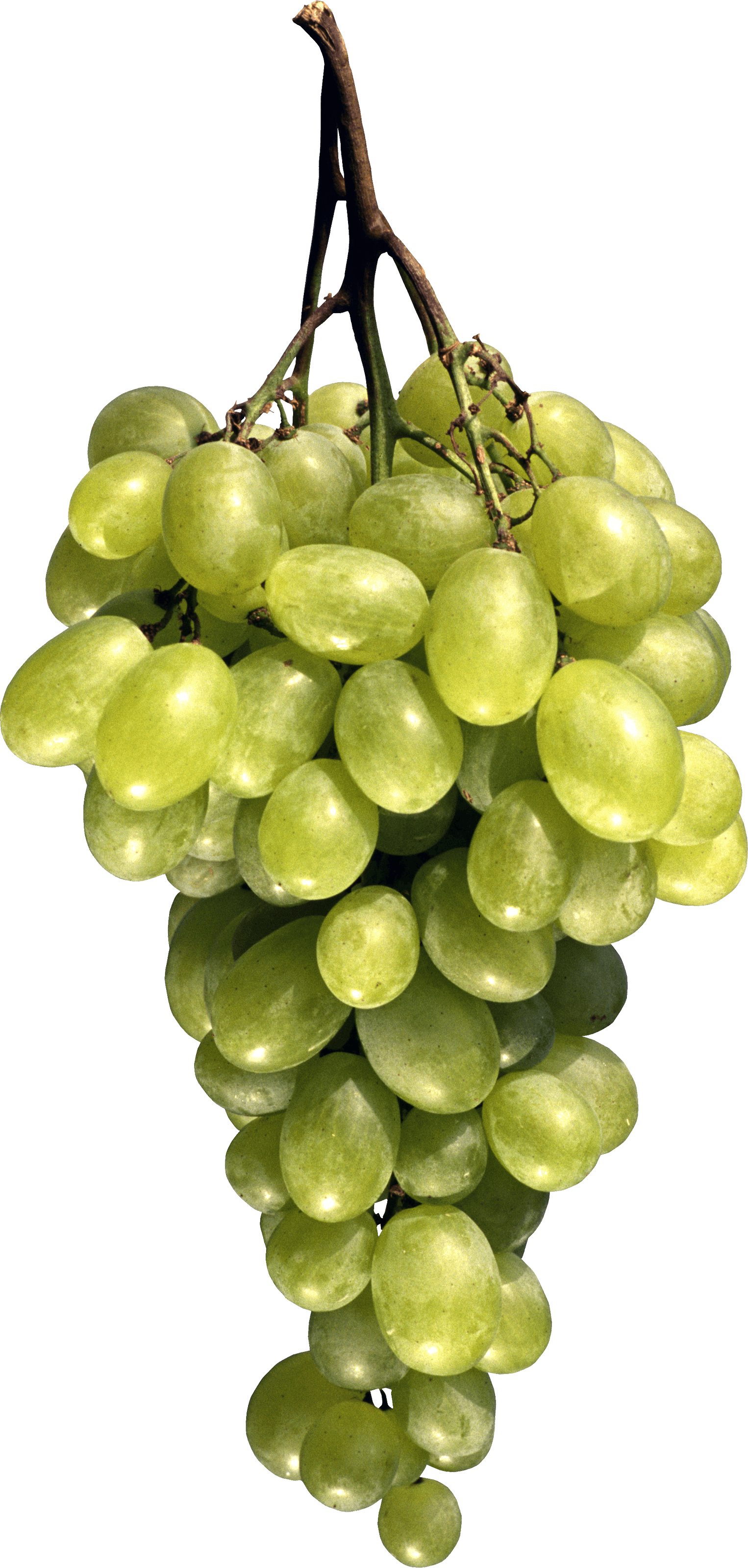 Grape Png Image Download Picture PNG Image