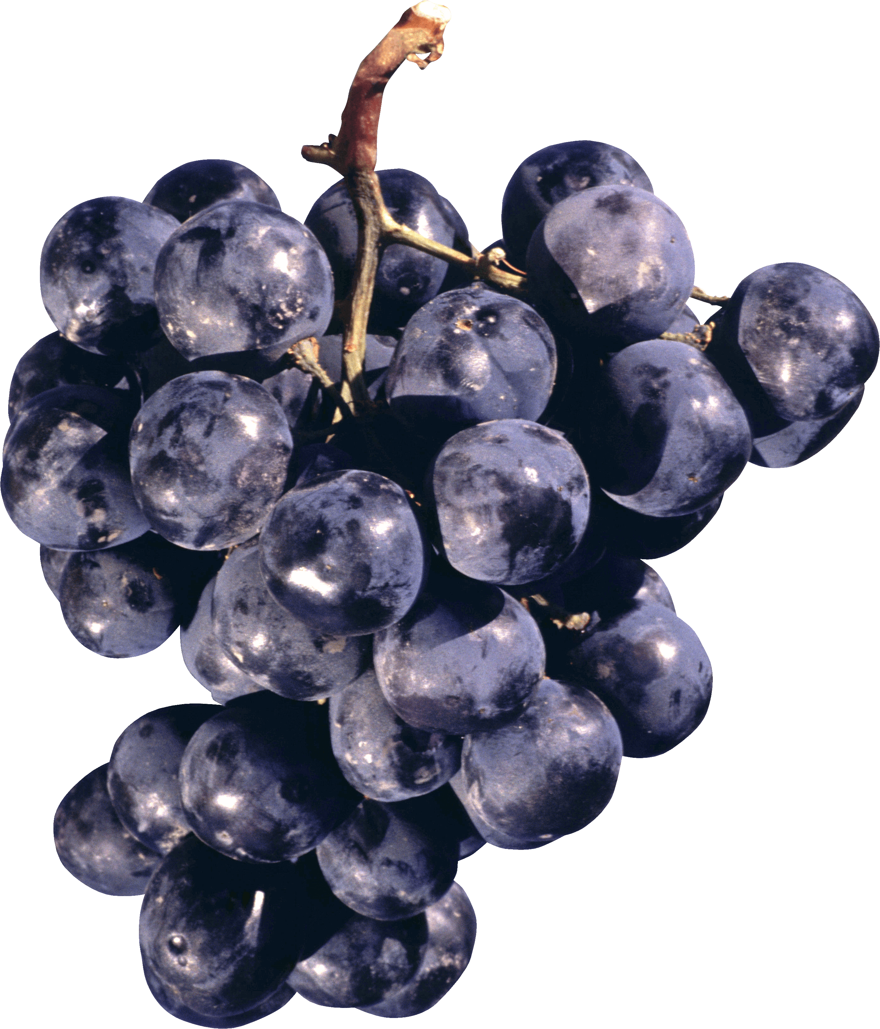 Grape Png Image PNG Image