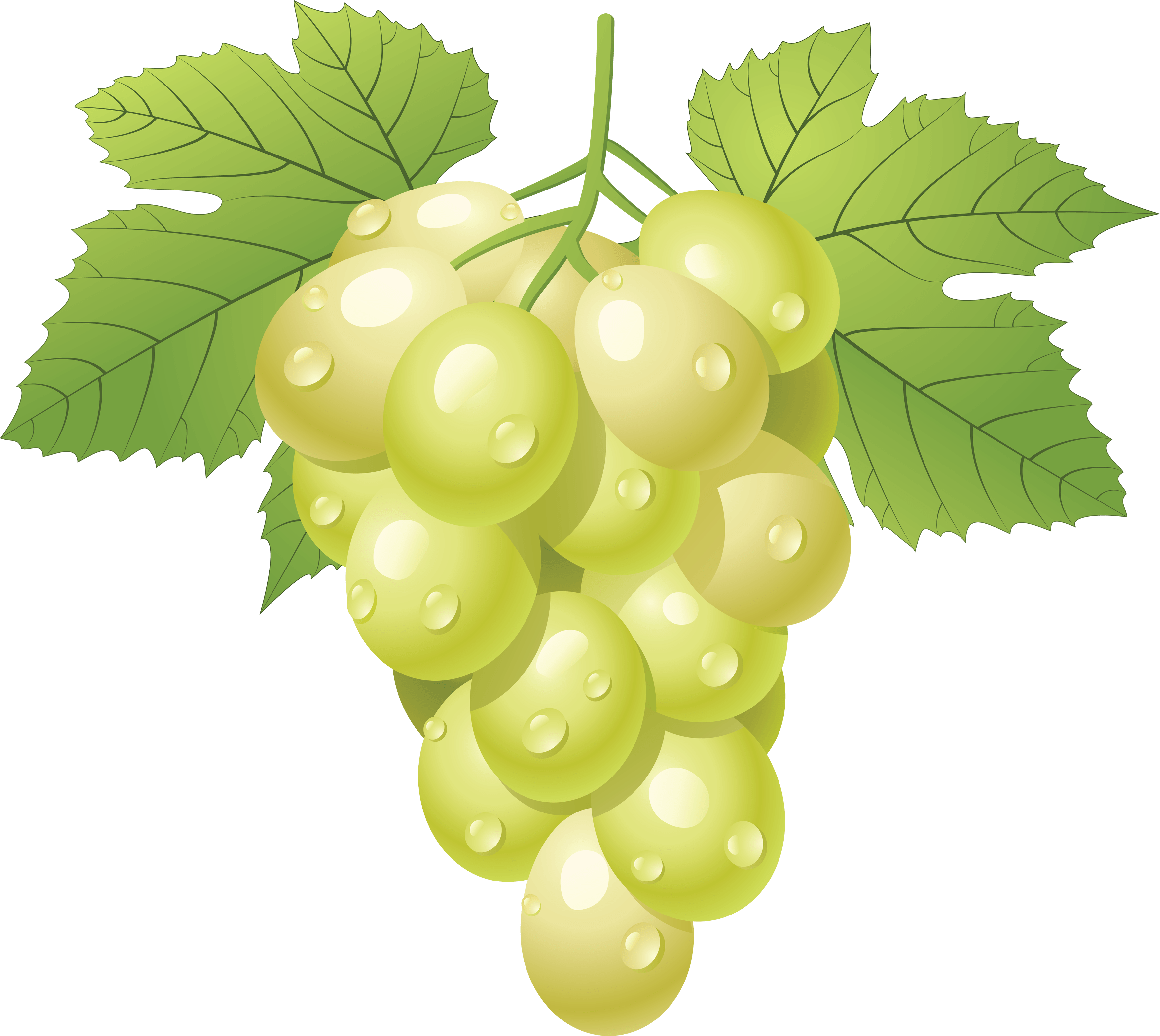 Green Grape Png Image PNG Image