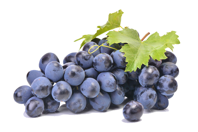 Fruit Black Grapes Free Transparent Image HD PNG Image