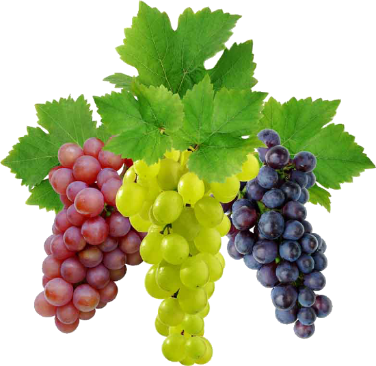 Grapes PNG File HD PNG Image