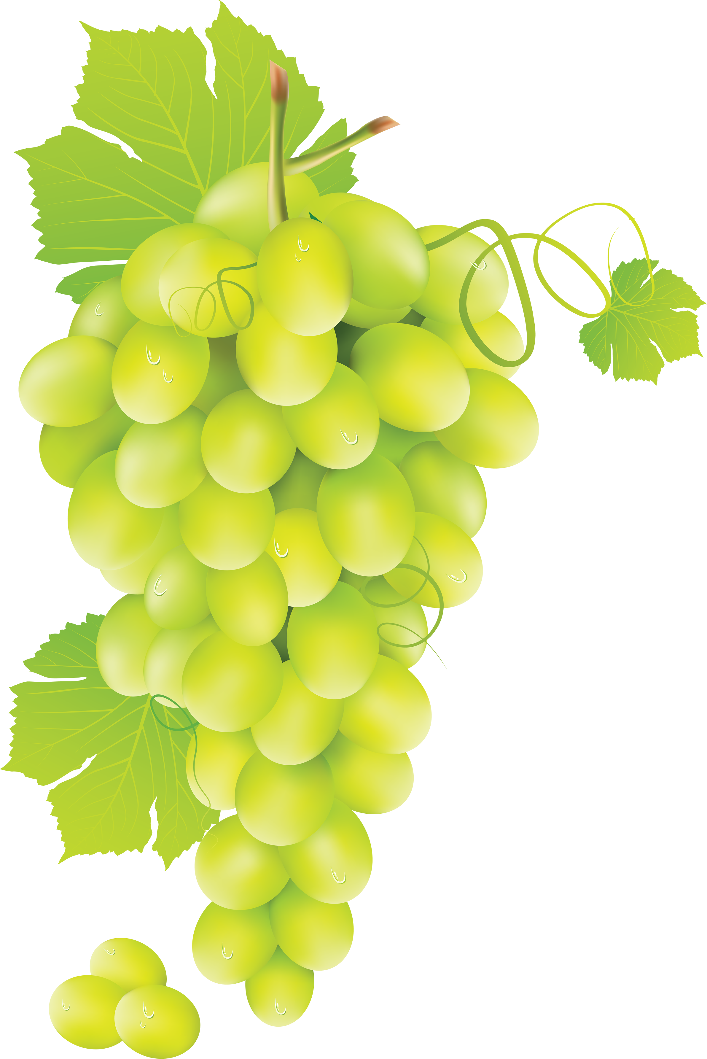 Green Grapes HD Image Free PNG Image