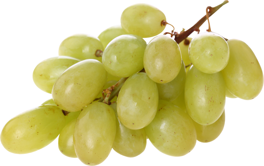 Green Juicy Grapes HQ Image Free PNG Image