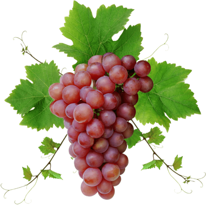 Photos Grapes Red Free Transparent Image HQ PNG Image