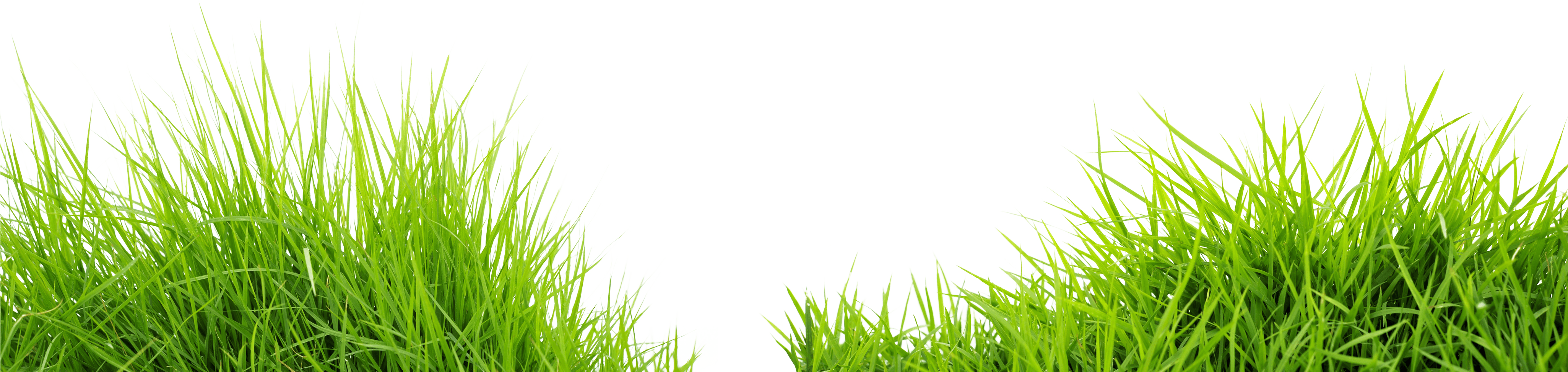 Grass Png Image Green Grass Png Picture PNG Image