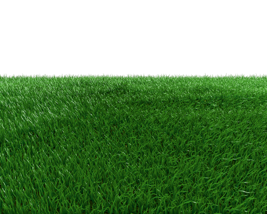 Field Grass Green Landscape Photos PNG Image