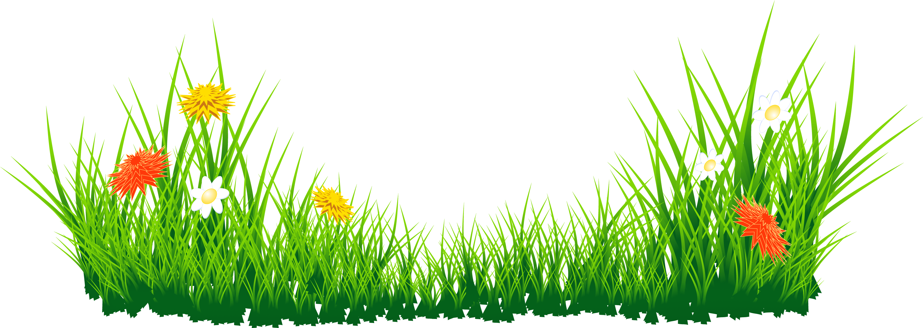 Vector Photos Grass Green HD Image Free PNG Image