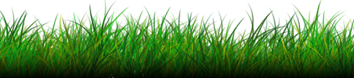 Grass Natural Free Download PNG HD PNG Image