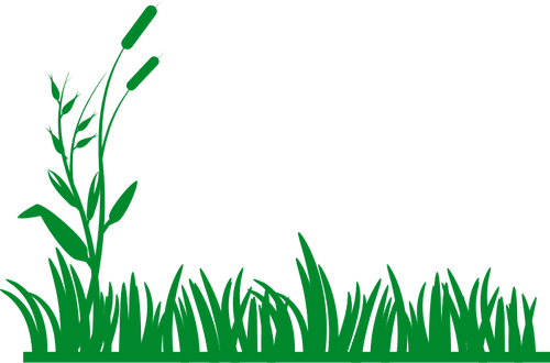 Vector Grass Natural PNG File HD PNG Image