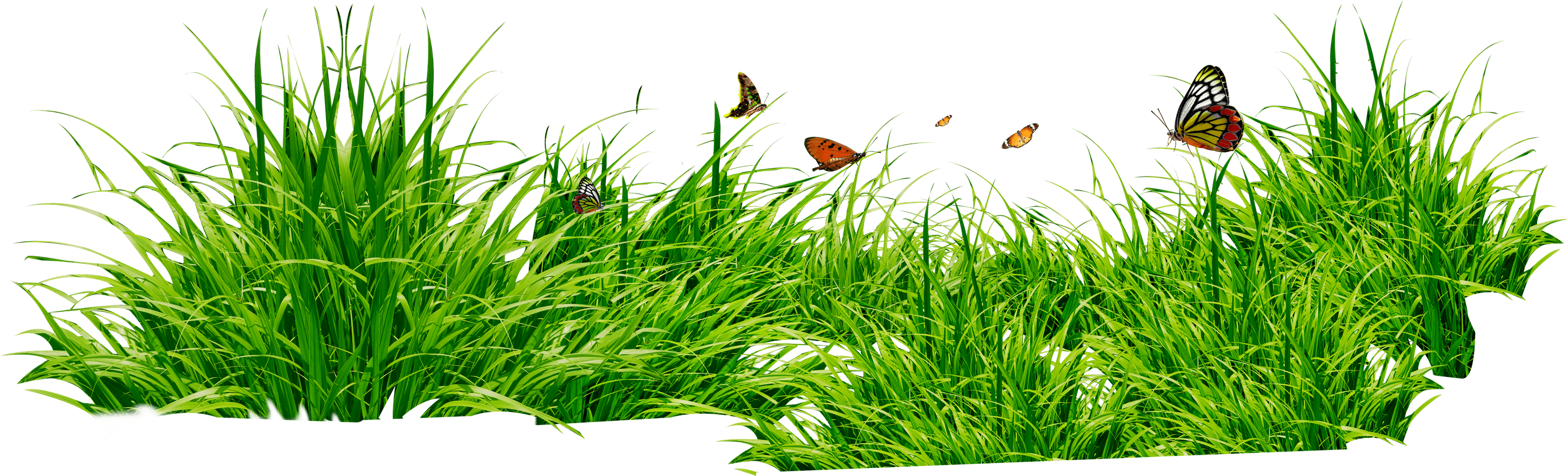 Grass Png Image Green Grass Png Picture PNG Image