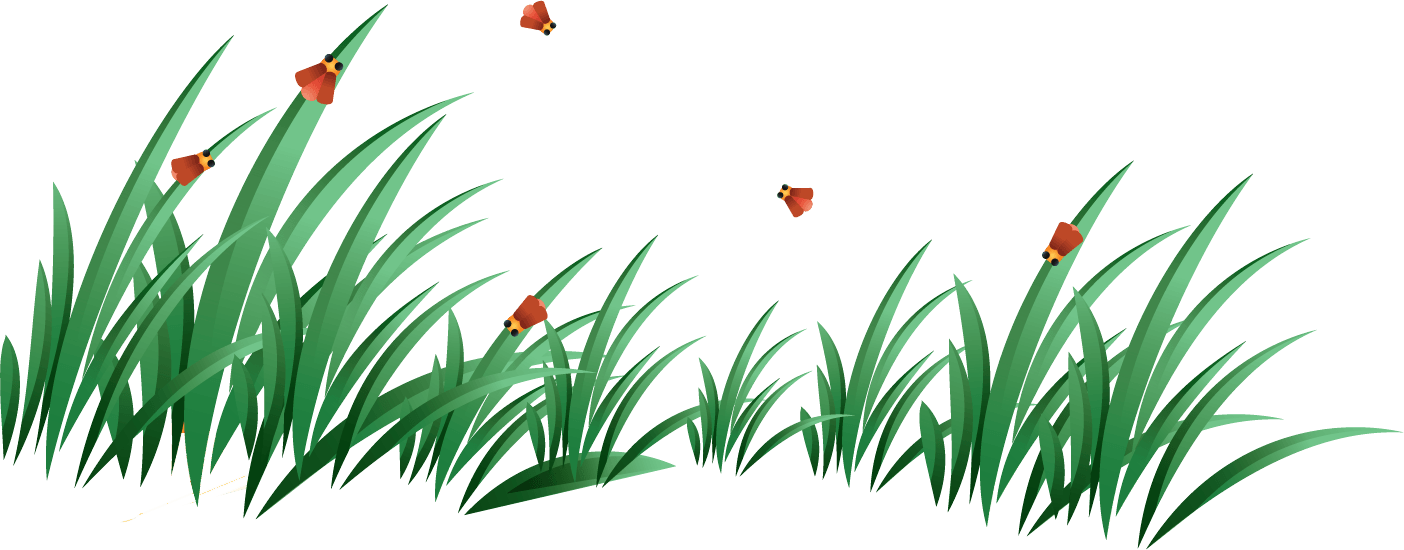 Grass Png Image Green Grass Png Picture PNG Image