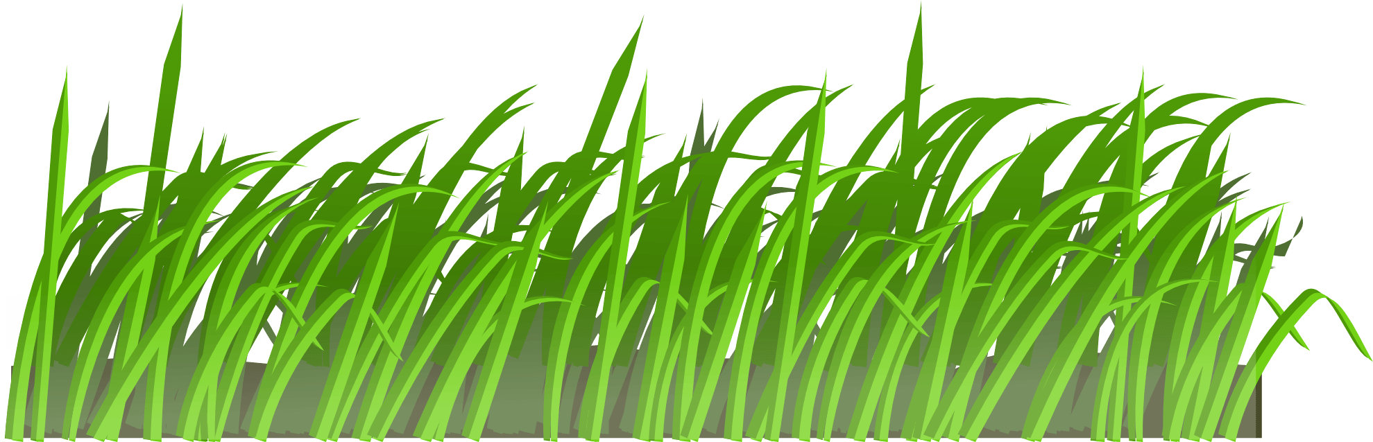 Grass Png Image Green Grass Png Picture PNG Image