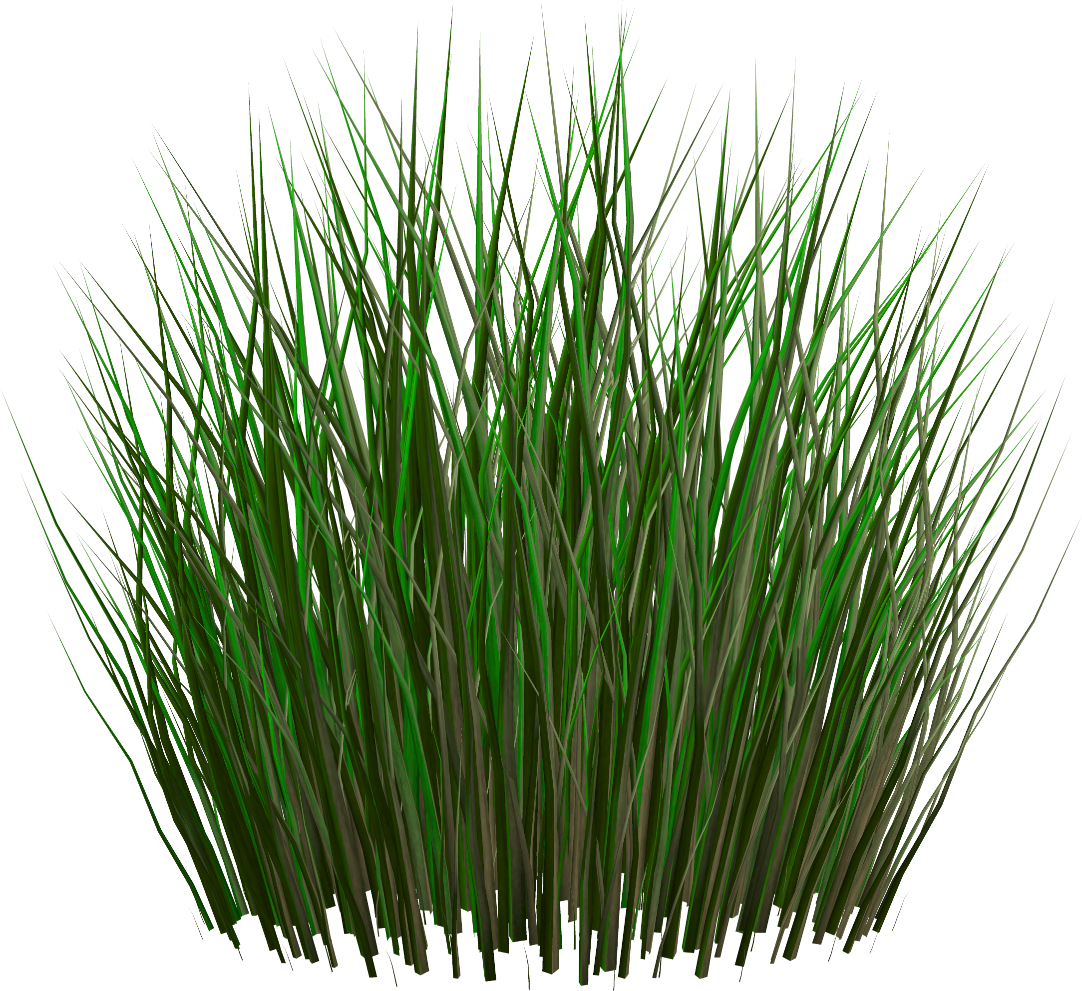 Grass Png Image Green Grass Png Picture PNG Image