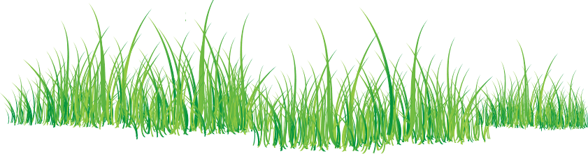 Grass Png Image Green Grass Png Picture PNG Image