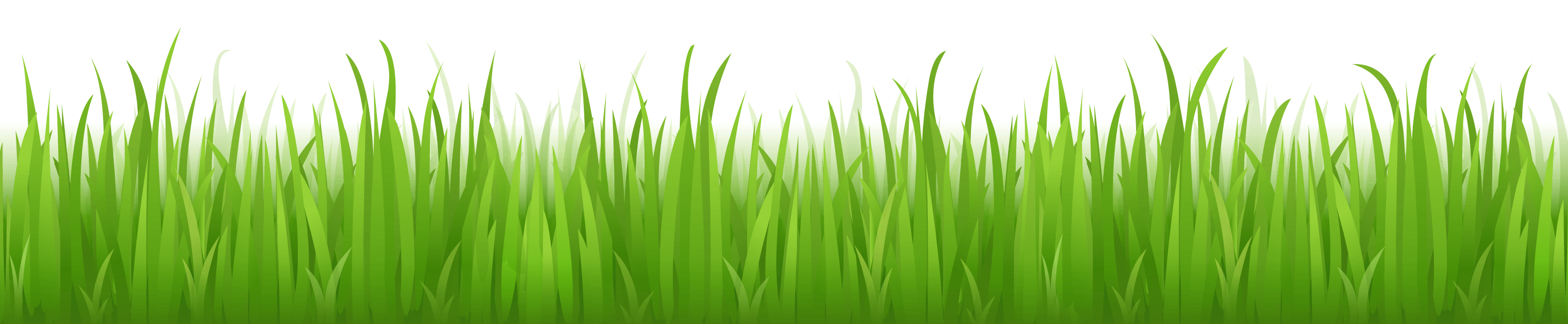 Grass Png Image Green Picture PNG Image